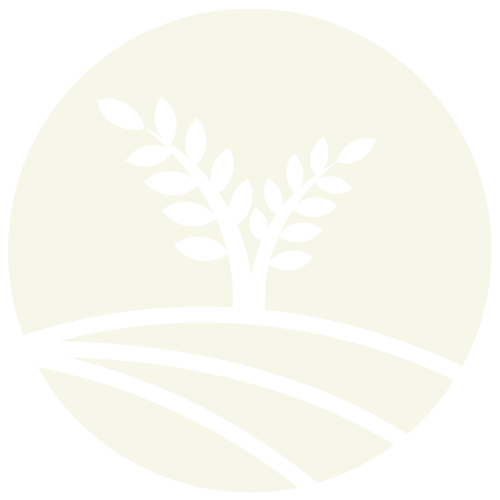 Arbor – Living Greener with Values